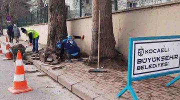 Yol Bakım Timi, Seka Devlet Hastanesi Kaldırımlarını Onardı