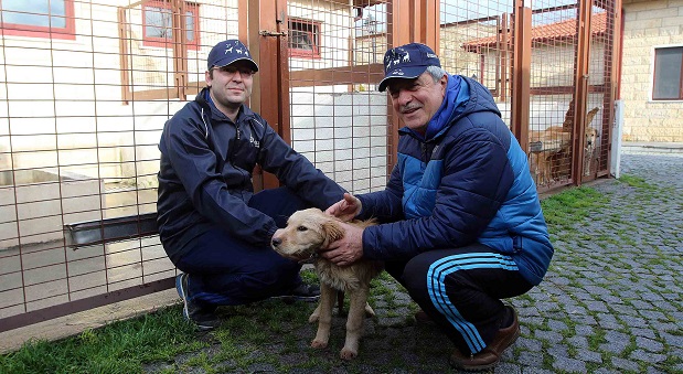 2017’de bin 200 hayvan sahiplendirildi