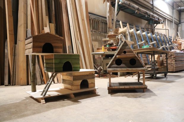 Kedi ve kuşlar üşümesin