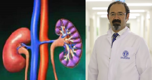 Yaz Aylarında Böbrek Yetmezliği Riski Artıyor!