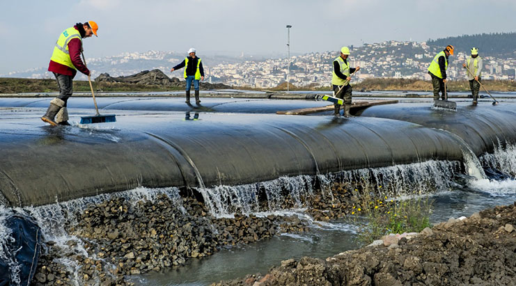 Çamur gidiyor, yeni canlılar geliyor