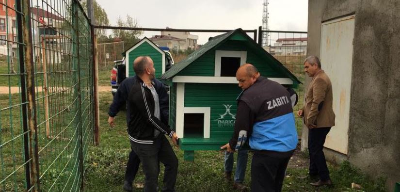 Darıca’da Sokak Hayvanları İçin Özel Çalışma