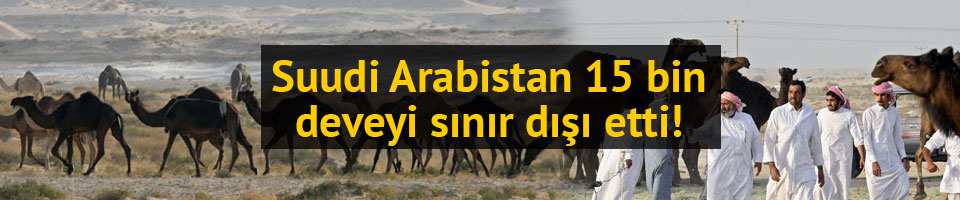 Suudi Arabistan 15 bin Katar devesini sınır dışı etti