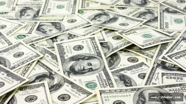 Yıllık en yüksek getiri Amerikan Doları’nda oldu!
