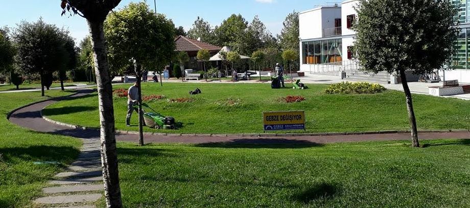 Gebze Parklarında sonbahar çalışması