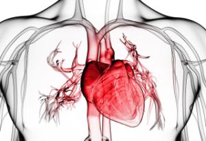 Kalp ameliyatlarında ‘Göğüs Kesme’ devrini bitiren yöntem