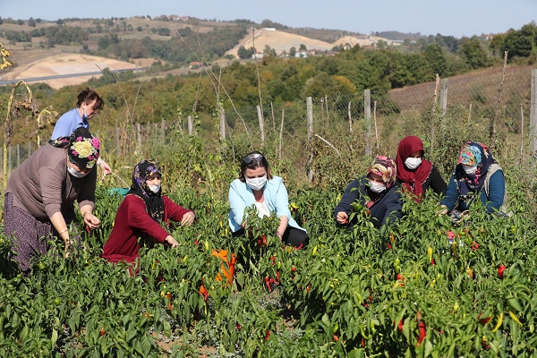 “Kadınlarımız üretsinler istiyoruz”