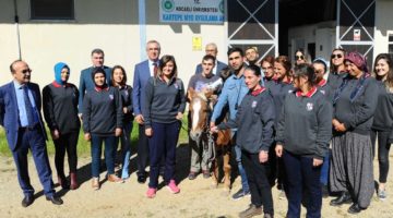 Kırsalda Kadın Seyis Yetişiyor