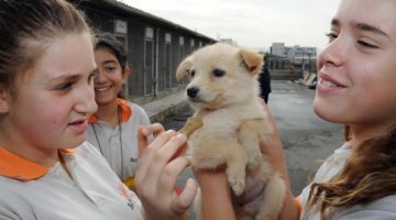Büyükşehir’den sertifikalı Pet Shop eğitimi