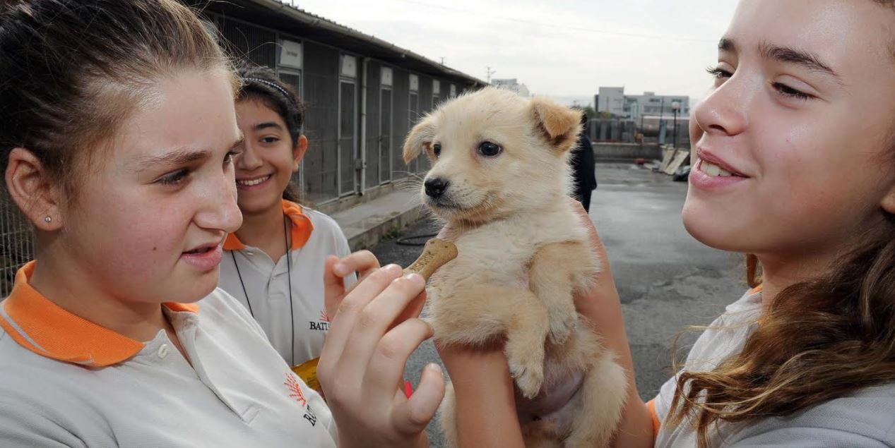 Büyükşehir’den sertifikalı Pet Shop eğitimi