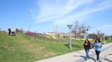 Sekapark’ta ücretsiz internet hizmeti