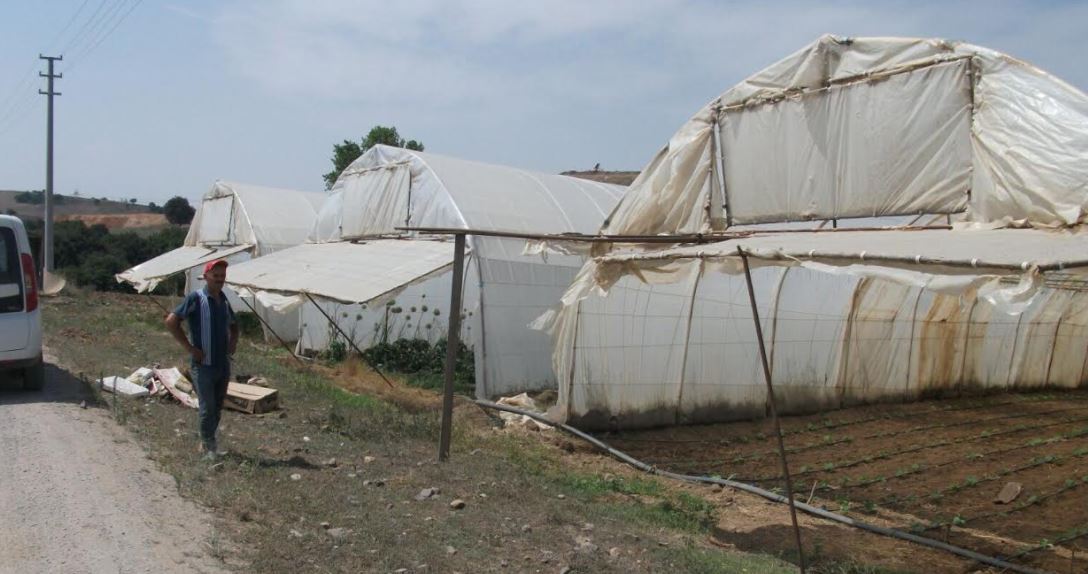 Serası hasar gören üreticilere destek