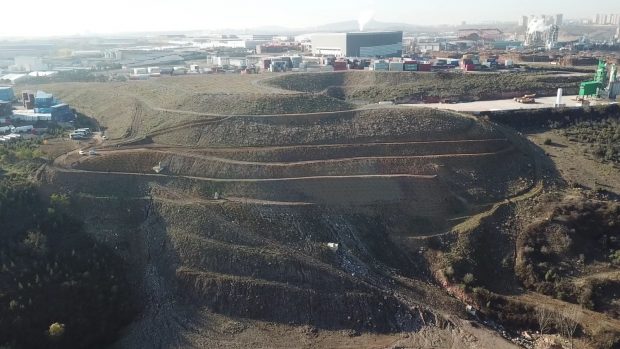 Dolgu alanına 8 bin 700 fidan