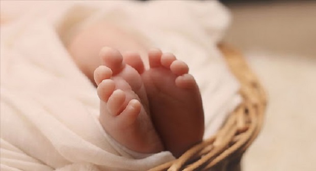 2019 yılında 1 milyon 183 bin 652 bebek doğdu