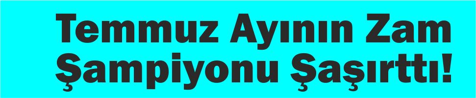 Temmuz Ayının Zam Şampiyonu Şaşırttı!